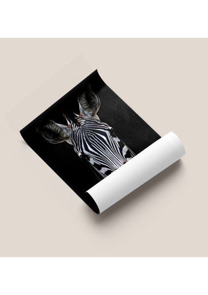 Çerçevesiz Poster - Dijital Baskı - Zebra fiyatları