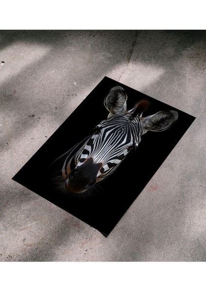 Çerçevesiz Poster - Dijital Baskı - Zebra fırsatları