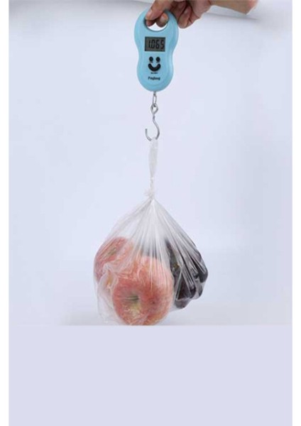 Taşınabilir Elektronik Tartı - 50 KG Kapasiteli modelleri