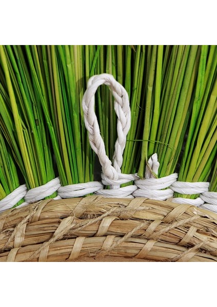 Mylamp Yıldız 80 Cm. Fıstık Yeşili Renkli Doğal Deniz Sazı Ayna indirimleri