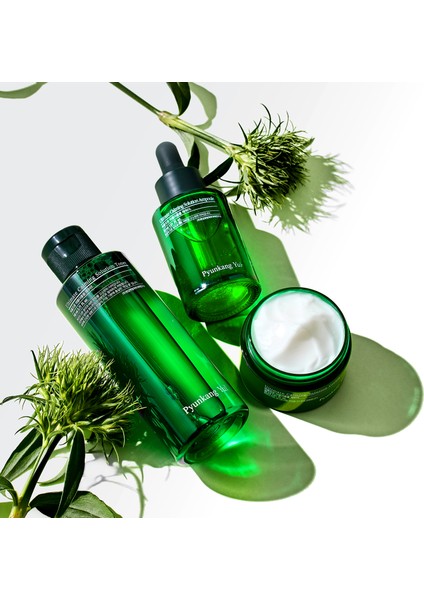 Ultimate Calming Line Gift Set (Toner+Ampoule+Cream) W/bag - Yoğun Yatıştırıcı ve Nemlendirici Cilt Bakım Hediye Seti (Çantalı) fırsatları
