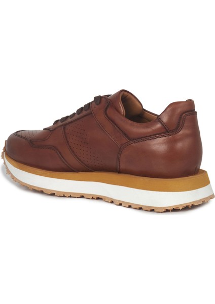 Taba Deri Sneakers Erkek Ayakkabı fiyatları