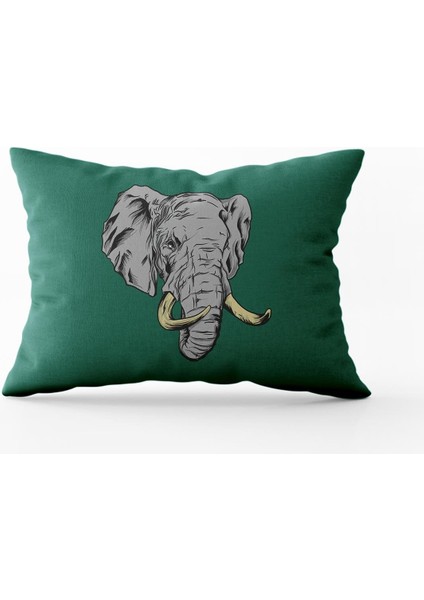 Çift Taraflı Dikdörtgen Kırlent Kılıfı Tk9