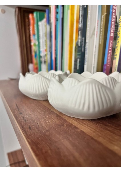Lotus Mumluk fırsatları