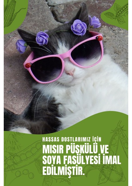 Tofu Kedi Kumu | Doğal, Topaklanan, Tozsuz, Süt Kokulu | 10 Lt / 4 kg / 2 Paket | Pati Premium modelleri