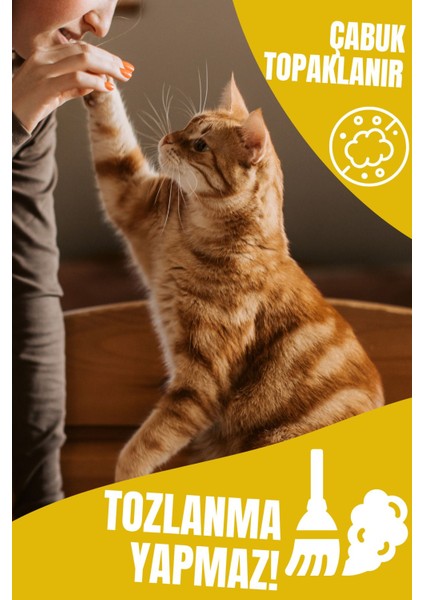 Tofu Kedi Kumu | Doğal, Topaklanan, Tozsuz, Süt Kokulu | 10 Lt / 4 kg / 2 Paket | Pati Premium indirimleri