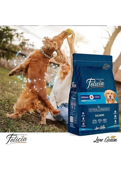 Düşük Tahıllı Hipoalerjenik Somonlu Orta ve Büyük Irk Yetişkin Köpek Maması 3kg fiyatları