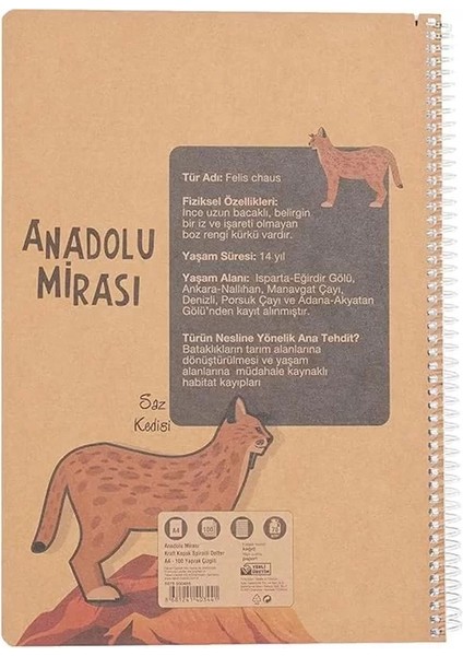 Anadolu Mirası Spiralli Defter, A4, 100 Yaprak, 70G Kağıt, Çizgili, 500 Mikron Pp fiyatları