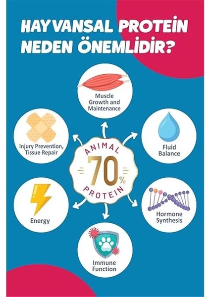 Yetişkin Ufak Irk Kuzu'lu Süper Premium Köpek Maması 1,5 kg Hipoalerjenik - Düşük Tahıllı - fiyatları