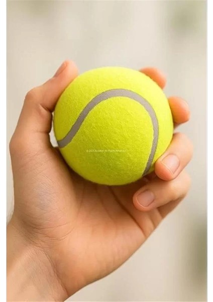 2'li Köpek Oyun Topu 7.5 cm Orta Boy Premium Kalite Tenis Topu, Eğitim ve Oyun Amaçlı fiyatları