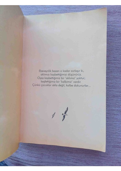 Bağırmayan Anneler Bağırıp Çağırmadan Çocuk Büyütme Teknikleri 173 Sayfa 2021 Basim Sadece Kunye Sayfasinda Yazi Var Fotoğraflar Da Gözükmektedir Harici Cok Temiz Durumdadir modelleri