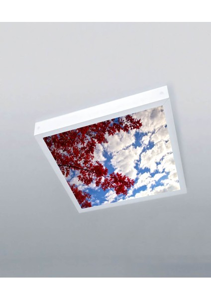 1X1-TEKLI-60X60-TAVANA Yapışık LED PANEL-54W-SIVA Üstü-Kolay Montaj-Kırmızı Ağaçlı- LED