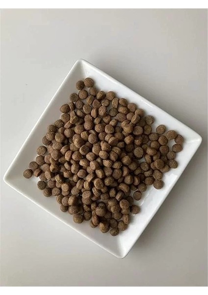 Low Grain Kuzu Etli ve Yaban Mersinli Mini ve Küçük Irk Yetişkin Köpek Maması 8 kg fiyatları