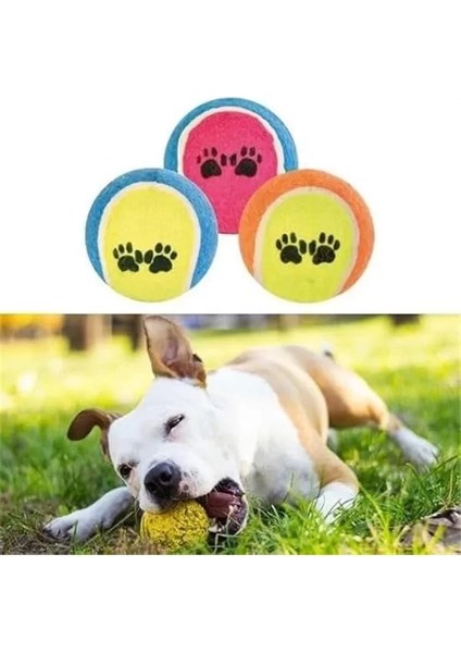 3lü Renkli Desenli Tenis Topu Köpek Oyuncağı