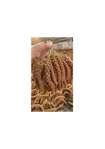 Organik Üretim Kızıl Dal Darı 250 Gr.