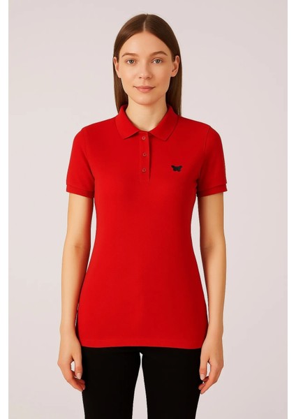 Kadın 3 Lü Paket Yazlık Basic Düz Polo Yaka Tişört modelleri