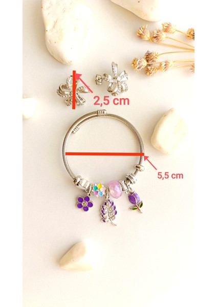 Bileklik Pandorsb ve Küpe Gümüş Kaplama Zirkon Taş 316 L Çelik 2'li Set + Hediye Paket fırsatları