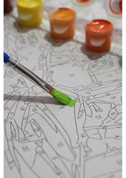 Sayılarla Boyama Tuval Seti Fırça Boya Dahil (Çıtalı) 40X50 cm - Küçükprens modelleri