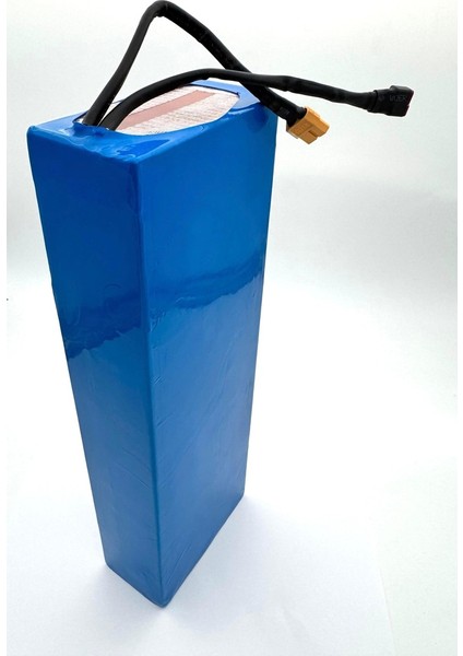 OV11 Elektrikli Scooter Batarya 48V 10A modelleri