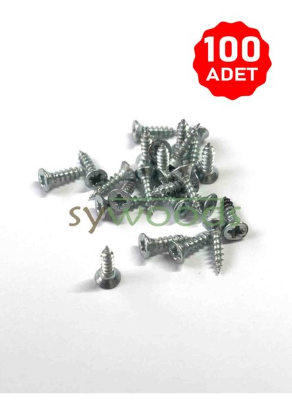Sunta Vidası Ince 2.5X10 mm 100 Adet Çinko Renk