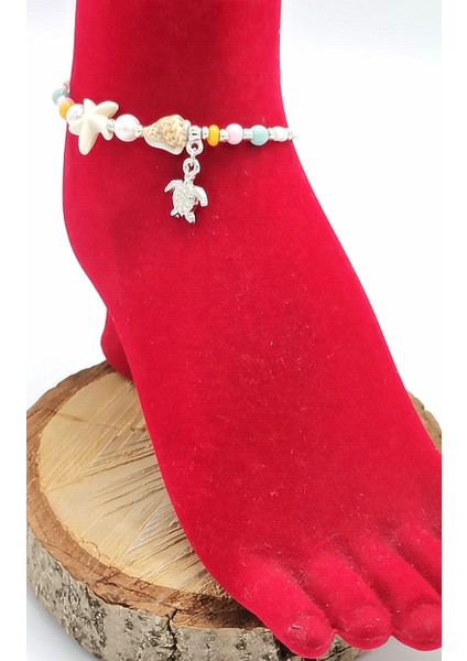 Deniz Kabuğu Lüks Hal Hal