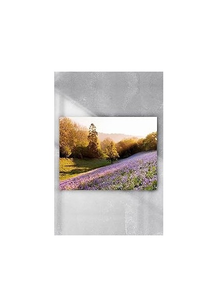 (6592) Ilkbahar Mazara Poster 6 (60X90 Cm)