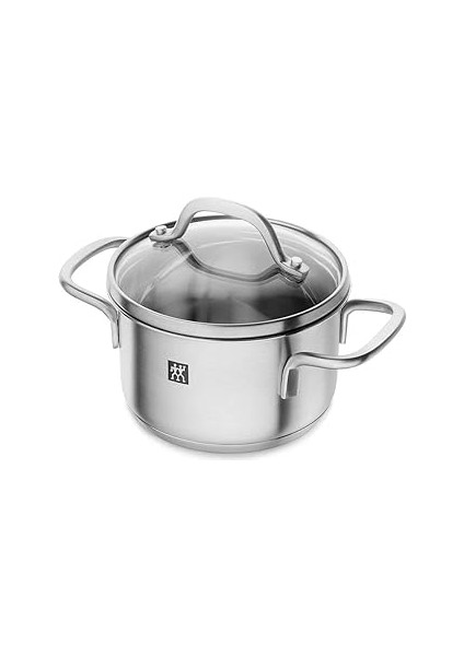 Zwillig 666521200 Paslamaz Çelik Tecere 12 Cm, Metalik Gri