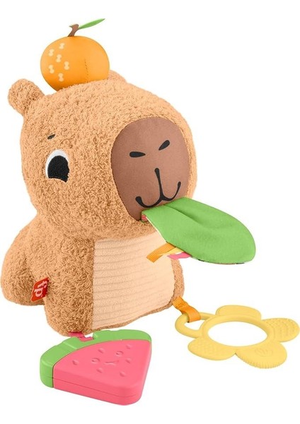 Yumuşak Kapibara Peluş HYR54