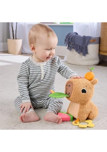 Yumuşak Kapibara Peluş HYR54 fiyatları