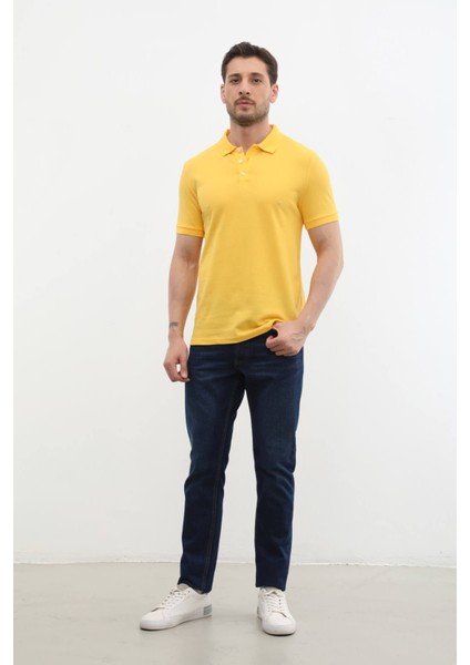 Erkek Polo Yaka Pamuk Tişört modelleri