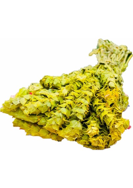 Akdeniz Adaçayı Anamur Demet 1AD