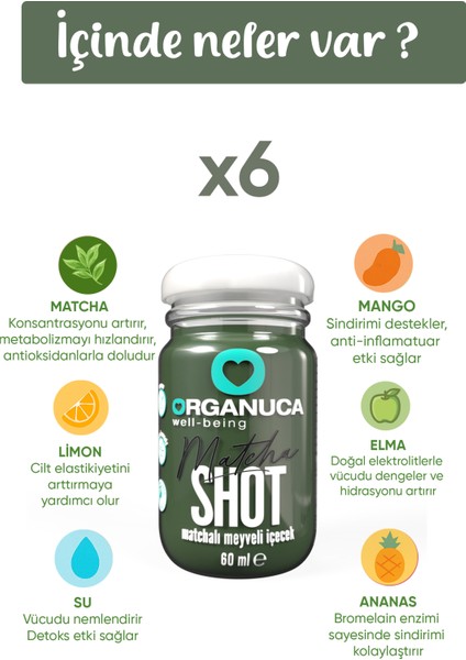 Matcha Shot 6'lı Paket