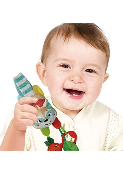 - Gezgin Rakun fiyatları