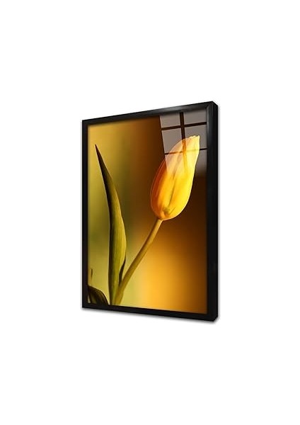 Sarı Lale Çerçeveli Cam Tablo 30X40 cm CA03411