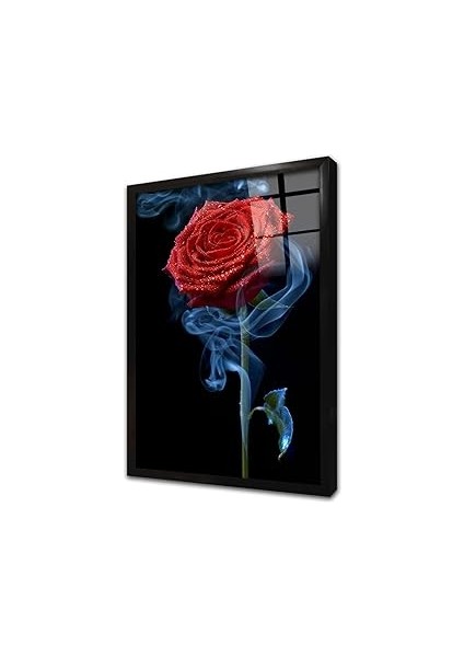 Kırmızı Gül Çerçeveli Cam Tablo 30X40 cm CA03243