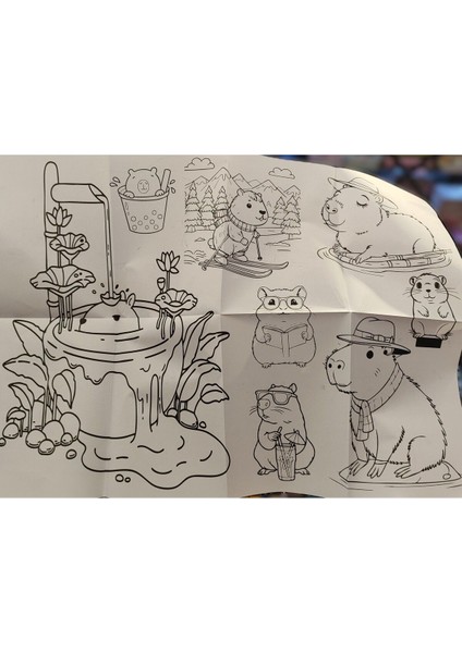 2 Adet Dev Boyama Kitabı (90CMX64CM)- (Capybara / My Melody Figürlü) modelleri