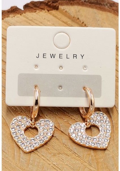 Çelik Lüks Tasarım Küpe