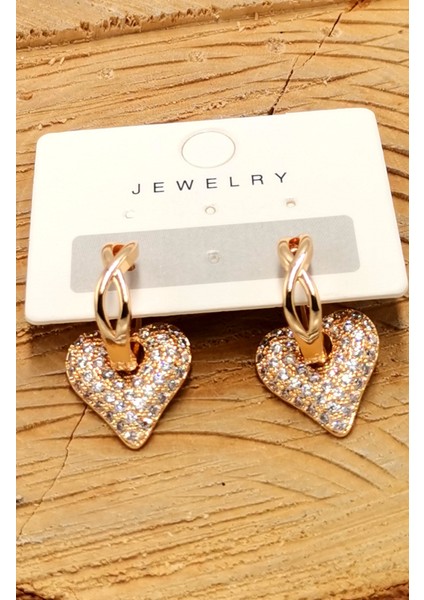 Çelik Lüks Tasarım Küpe