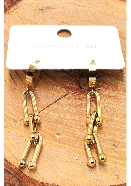 Çelik Lüks Tasarım Küpe