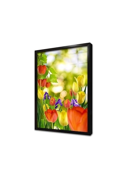 Rekli Laleler Çerçeveli Cam Tablo 30X40 cm CA03654
