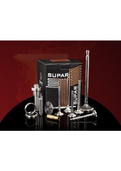 SUPAR-102311108 - Subap Takımı Emme + Egzoz Dkş M131 1.3