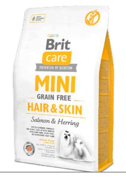 Care Tahılsız Mini Hair Skin Somonlu Köpek Maması 2 kg