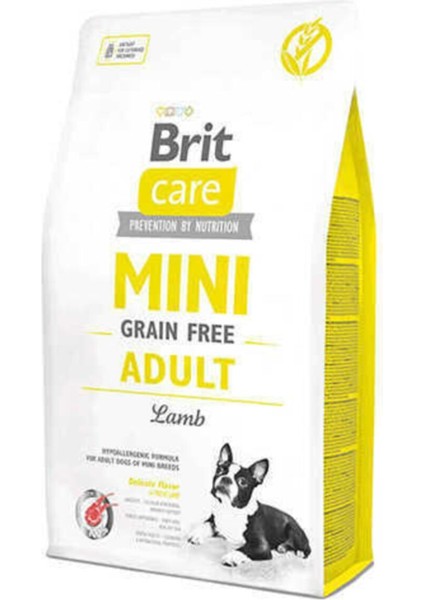 Mini Tahılsız Kuzu Etli Küçük Irk Yetişkin Köpek Maması 2 kg