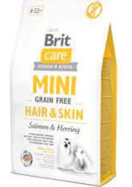 Care Tahılsız Mini Hair Skin Somonlu Köpek Maması 2 kg fiyatları