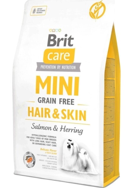 Care Tahılsız Mini Hair Skin Somonlu Köpek Maması 2 kg