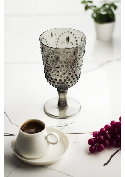 Akrilik Füme 6 Lı Ayaklı Bardak fırsatları