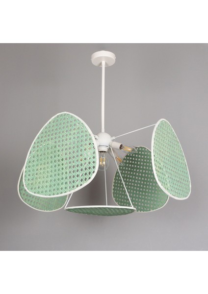 Mylamp Yeşil Bulut Doğal Hazeran 55 x 35 cm 4+1 Yaprak Avize fiyatları