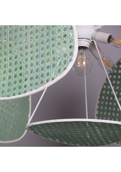 Mylamp Yeşil Bulut Doğal Hazeran 55 x 35 cm 4+1 Yaprak Avize fırsatları