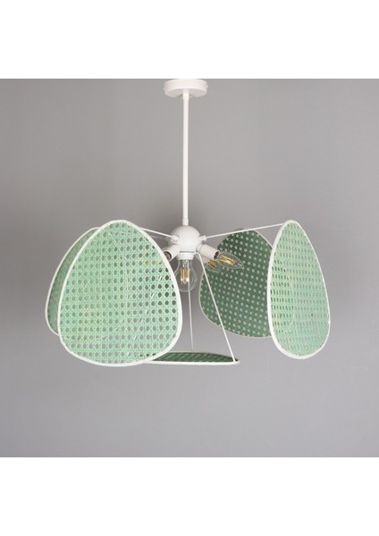 Mylamp Yeşil Bulut Doğal Hazeran 55 x 35 cm 4+1 Yaprak Avize indirimleri