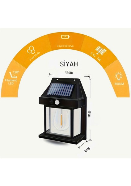 Büyük 2 Adet Güneş Enerjili Hareket ve Aydınlık Sensörlü Siyah Rustik Lamba Solar Aydınlatma Aplik modelleri